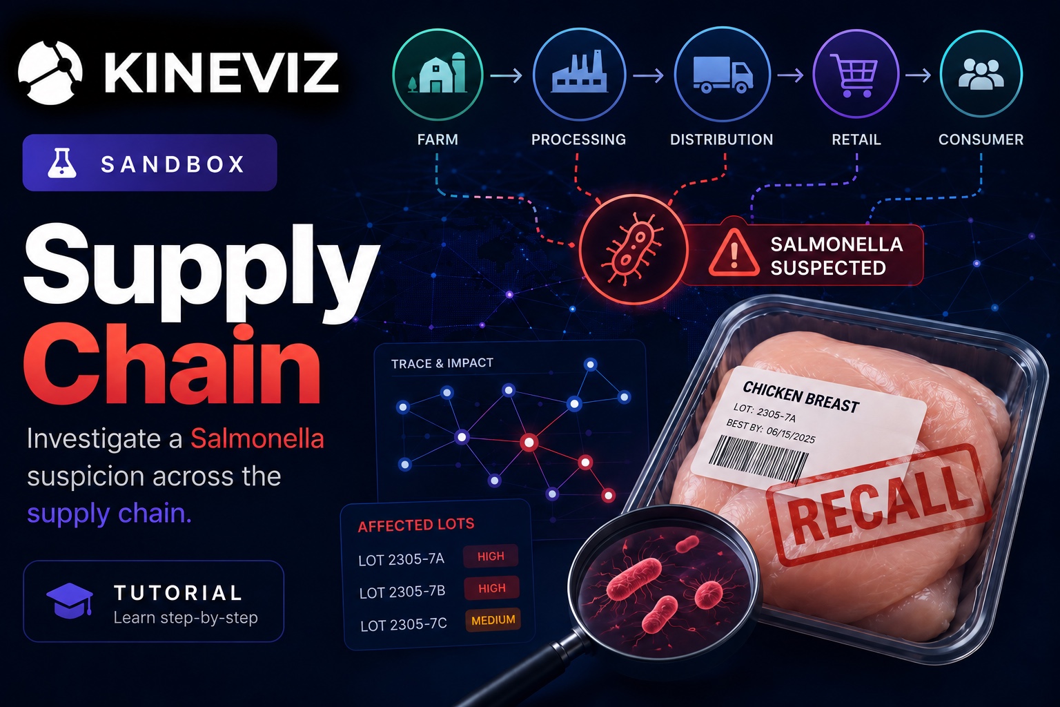 Discover how to make supply chain traceability easier than ever using this Kineviz sandbox example