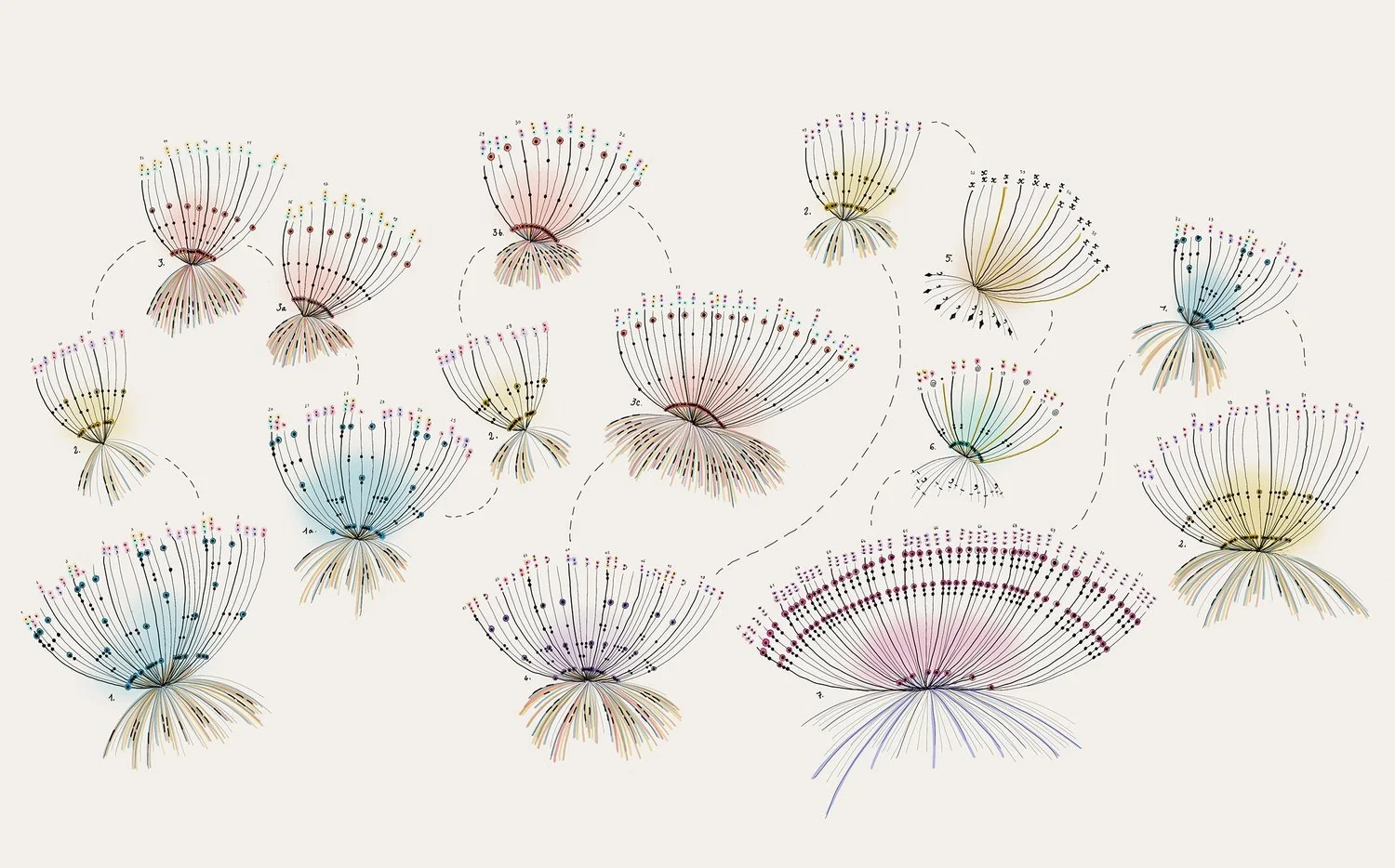 A complex diagram of colorful, interconnected data visualization patterns resembling botanical structures with labels and dotted lines.