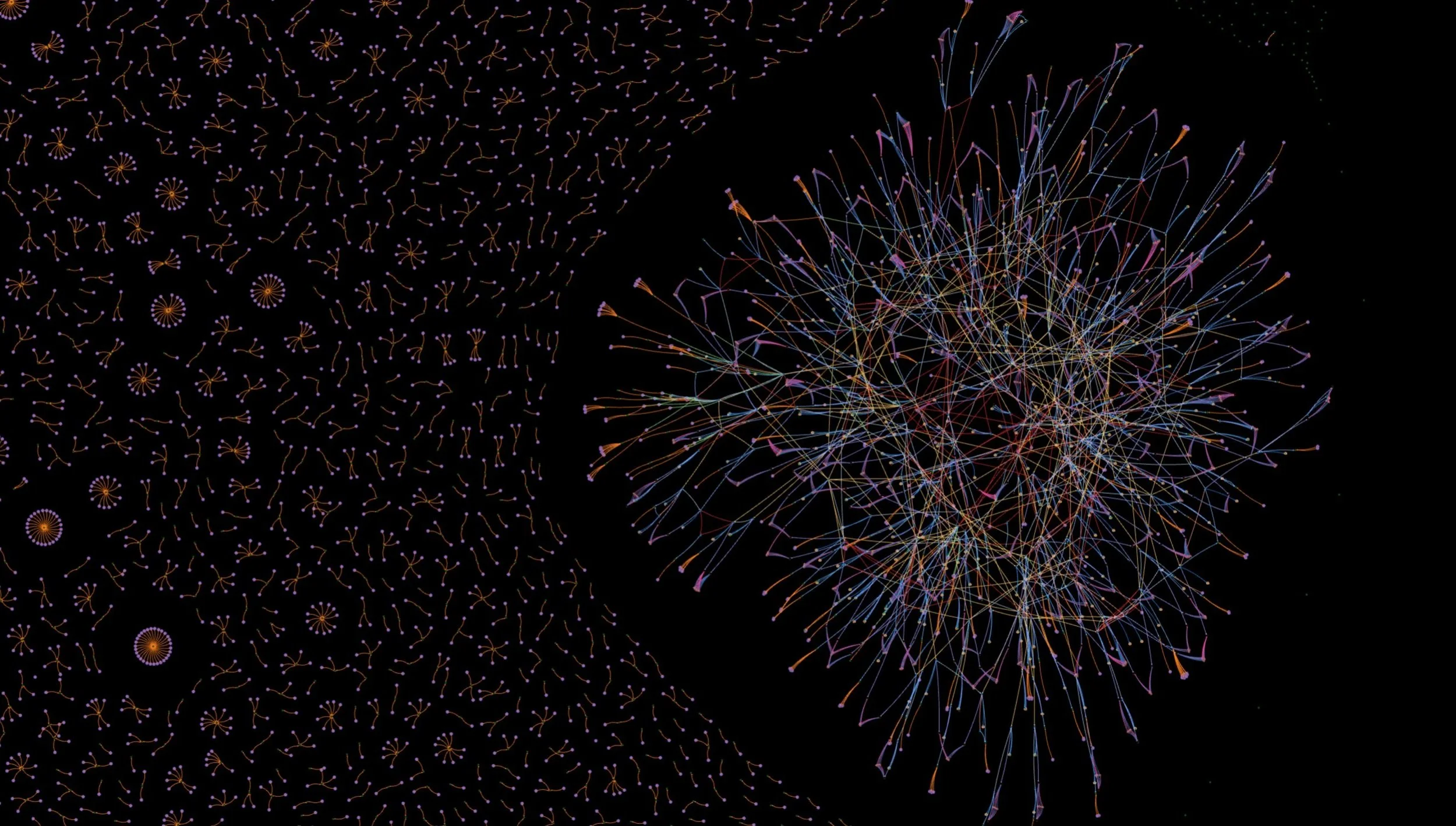 A network graph